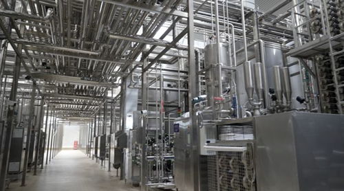 消費品制造業(yè)高質量發(fā)展調研行 探訪蒙牛 零碳 工廠 尋找生產(chǎn)車間里的 綠色密碼