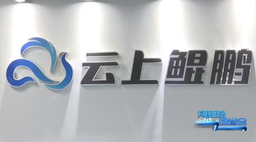 貴安新區(qū)企業(yè)開(kāi)足馬力忙生產(chǎn)，邁好新年第一步——故云行之觀察