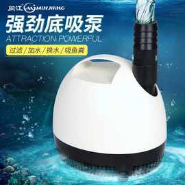 廣東閩江水族箱與寵物配件 打造水下生態的藝術與科學